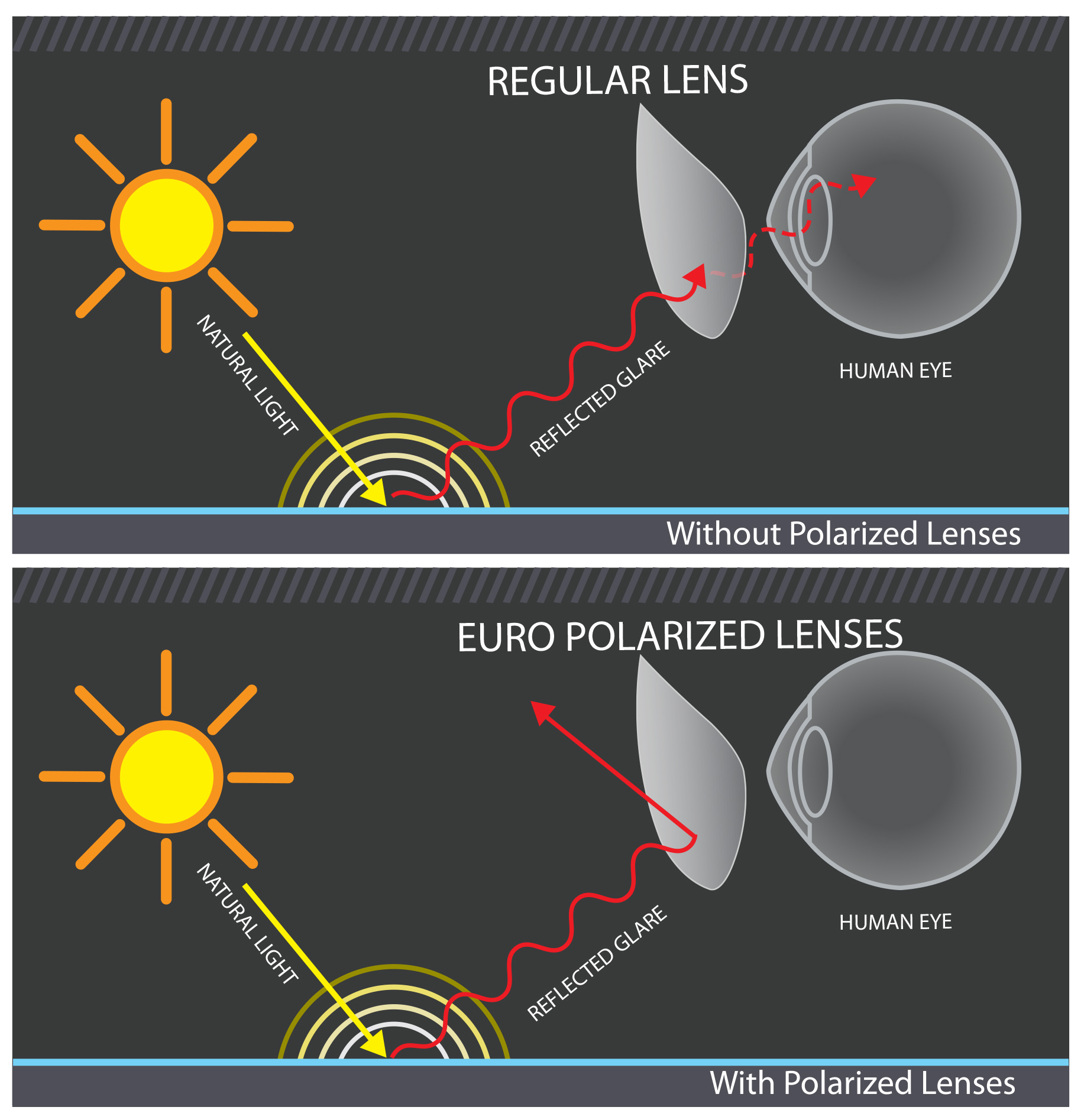 Polarized Vs Non-Polarized Sunglasses Differences And Uses | vlr.eng.br